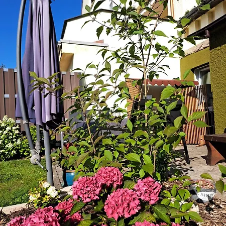 Ferienwohung Caecilie Appartement *